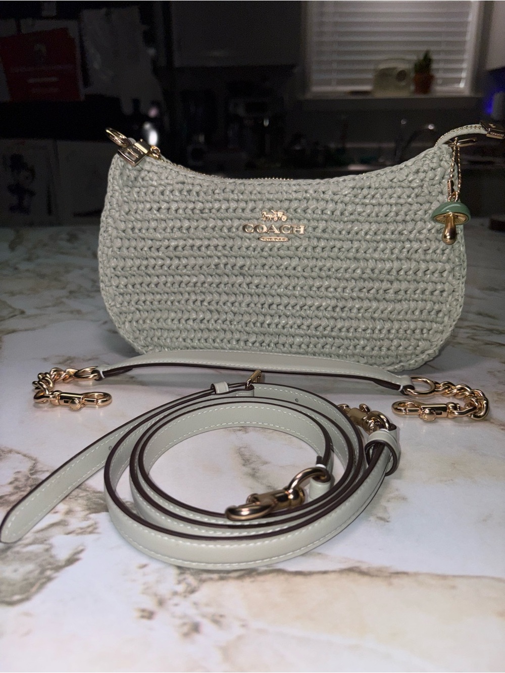 Coach Sage Crochet Mini Crossbody with Gold Hardware
